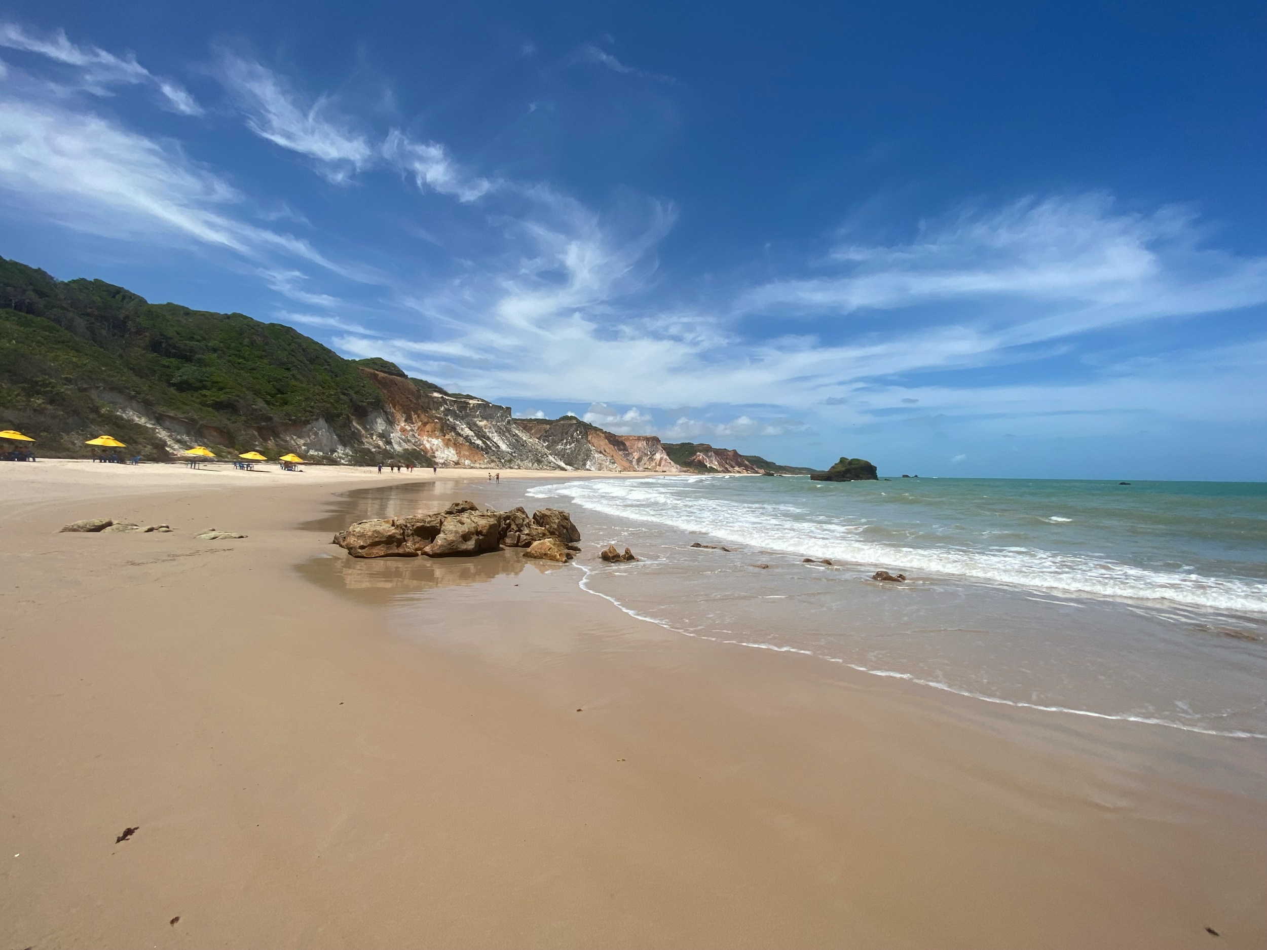 Background Exclusivo