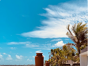 Galeria Manzon Real State