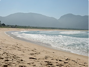 Galeria Manzon Real State