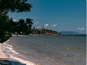 Galeria Manzon Real State